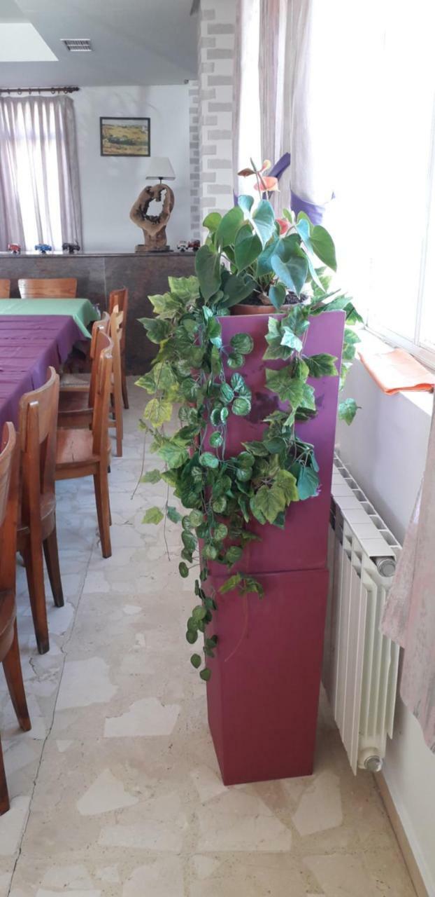 Hostal El Tropezon Matallana de Valmadrigal Екстер'єр фото